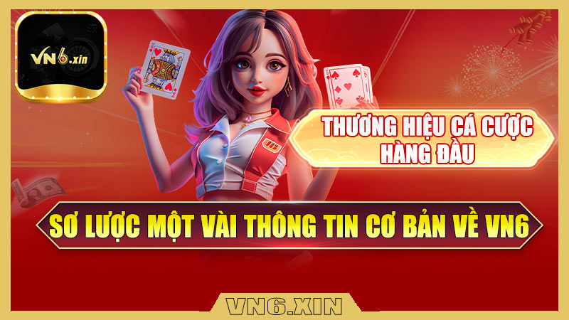 Sơ lược một vài thông tin cơ bản về Vn6