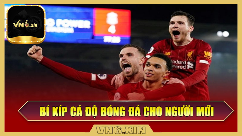 Bí kíp cá độ bóng đá hiệu quả cho người mới
