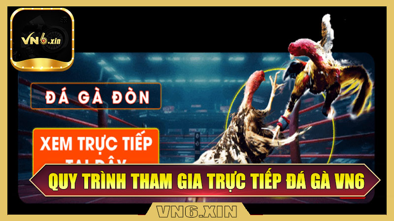 Quy trình tham gia trực tiếp đá gà tại Vn6