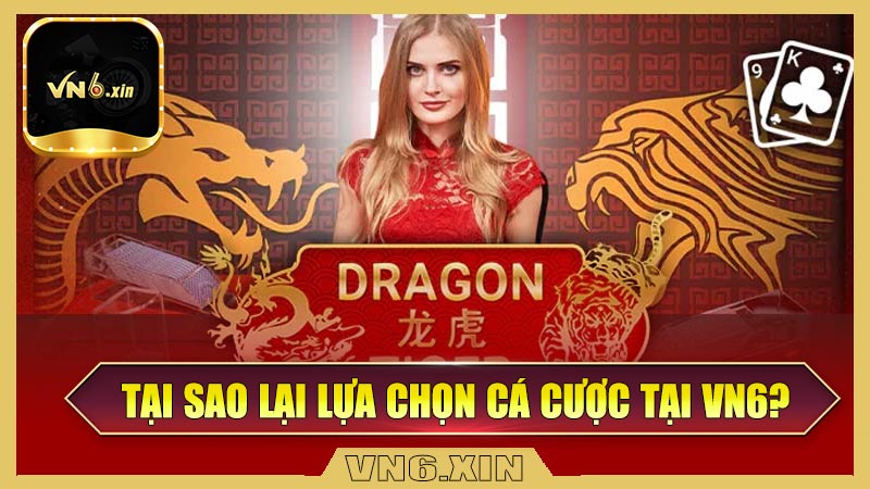 Tại sao lại lựa chọn cá cược tại Vn6?