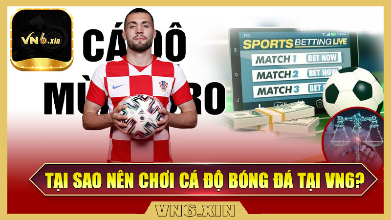 Tại sao nên tham gia cá độ bóng đá tại VN6?