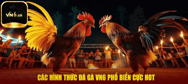 Các hình thức đá gà VN6 phổ biến cực hot