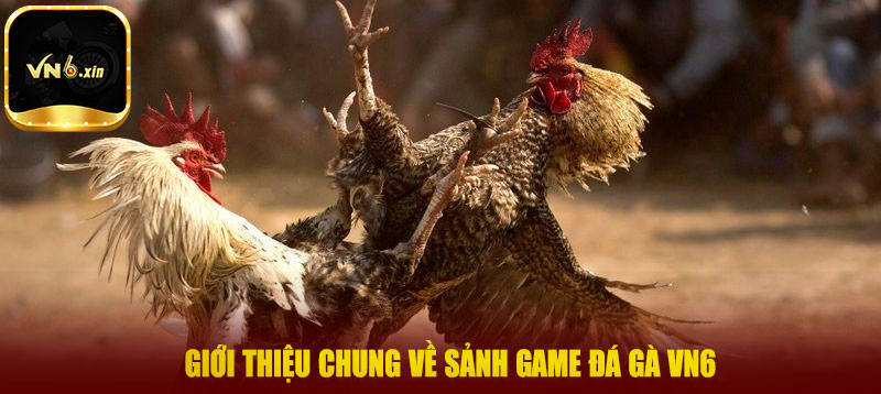 Giới thiệu chung về sảnh game đá gà VN6