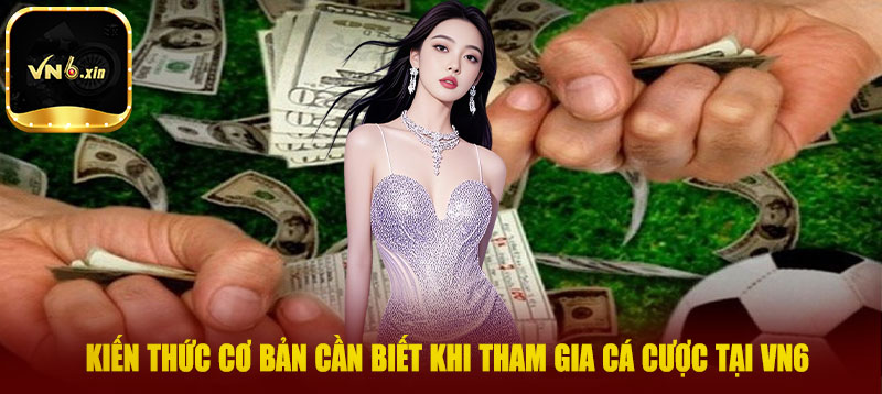Kiến thức cơ bản cần biết khi tham gia cá cược tại VN6
