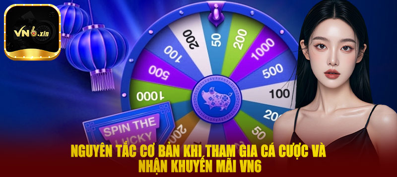 Nguyên tắc cơ bản khi tham gia cá cược và nhận khuyến mãi VN6