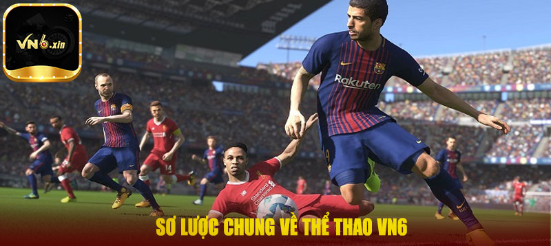 Sơ lược chung về thể thao VN6